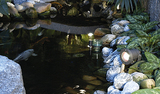 Objektbeleuchtung, Gartenbeleuchtung