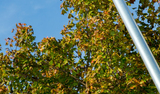 Straßenlaterne und Stadtbeleuchtung