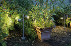 Objektbeleuchtung, Gartenbeleuchtung