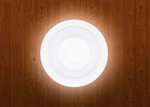 Downlights Serie SEGON BASIC LED