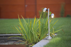 Gartenbeleuchtung