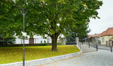Straßenleuchten & Stadtbeleuchtung