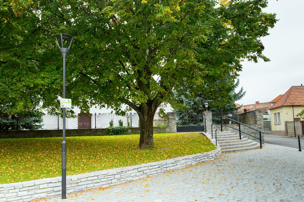 Straßenleuchten & Stadtbeleuchtung